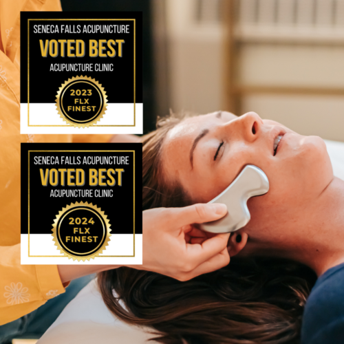 Seneca Falls Acupuncture - Proudly voted Best Acupuncture Clinic in the Finger Lakes in the FLX Finest Competition Two Years in a Row, 2023 and 2024.